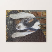 Puzzle Jolie photo de chèvre nubienne (Horizontal)