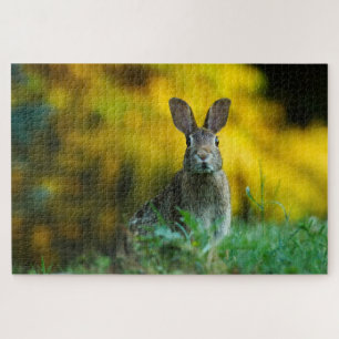 Puzzle Jolie photo de lapin