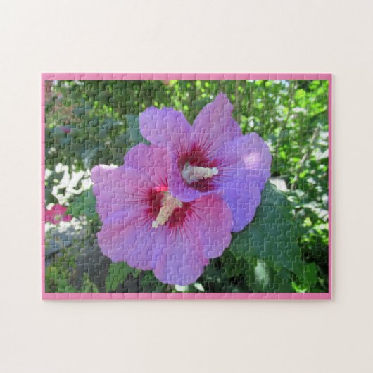 Puzzle Jolie rose rose de Sharon Photo (Horizontal)