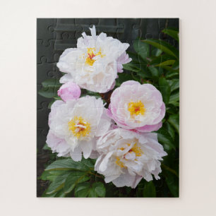 Puzzle Jolies fleurs de pivoines