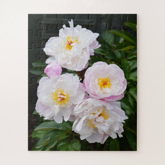 Puzzle Jolies fleurs de pivoines (Vertical)