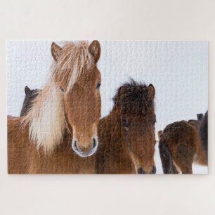 Puzzle Jolis chevaux islandais ensemble