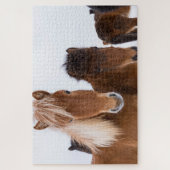 Puzzle Jolis chevaux islandais ensemble (Vertical)