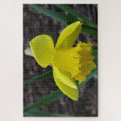 Puzzle Jonquil au printemps (Vertical)