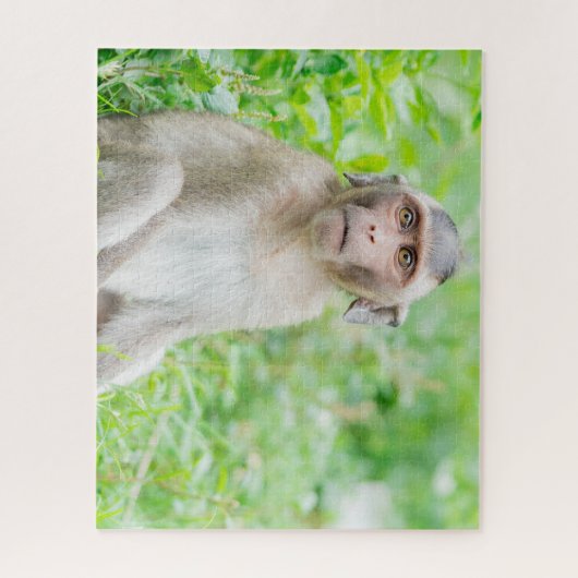Puzzle Jote jeune Brown singe araignée (Vertical)