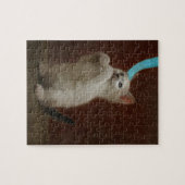 Puzzle Jouer Kittie (Horizontal)