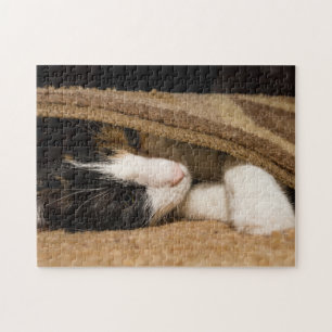Puzzle Jouer Sous Le Tapis