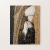 Puzzle Jouer Sous Le Tapis (Vertical)