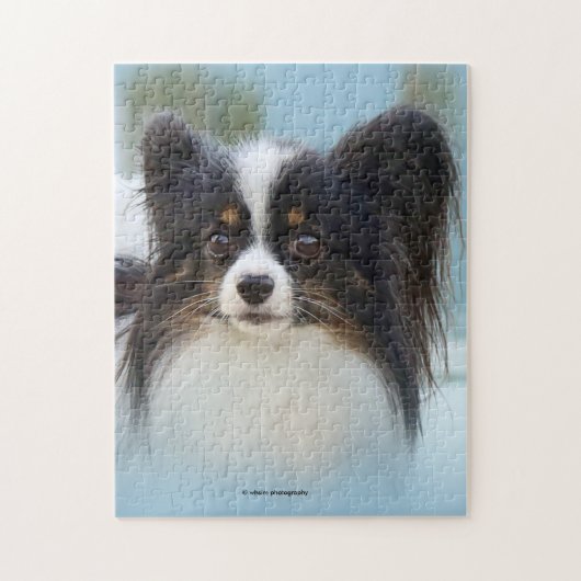 Puzzle Jouet Papillon mignonne Chien espagnol à l'quai (Vertical)