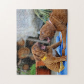 Puzzle Joueur de chiots du Dogue de Bordeaux (Vertical)