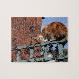Puzzle Joueur de gingembre