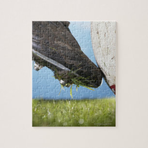 Puzzle Joueur de rugby à botter la balle de départ, gros