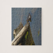 Puzzle Jour de congé de la tortue (Vertical)