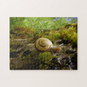 Puzzle jour de l'escargot !