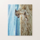 Puzzle Journée de farniente de chien à la plage, Ocean Sa (Vertical)
