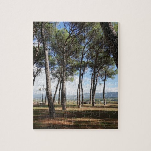 Puzzle journée ensoleillée pinèdes photo paysage (Vertical)