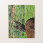 Puzzle : Joyeux âne (Vertical)