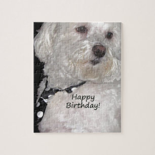 Puzzle Joyeux anniversaire de Havanese