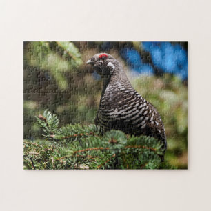 Puzzle Joyeux Tétras d'épinette