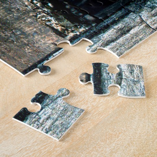 Puzzle Judgment (Côté)