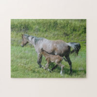 Jument quarte de cheval avec le poulain sur le