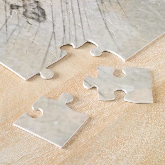 Puzzle Jumping spider paint (Côté)