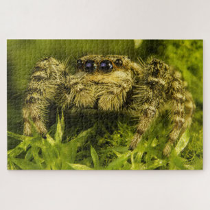 Puzzle Jumping spin op de grasfoto Legpuzzel