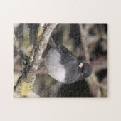 Puzzle Junco à ardoise foncée sur l'arbre à poires (Horizontal)