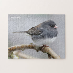 Puzzle Junco à ardoise foncée sur l'arbre à poires