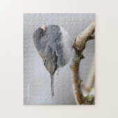 Puzzle Junco à ardoise foncée sur l'arbre à poires (Vertical)