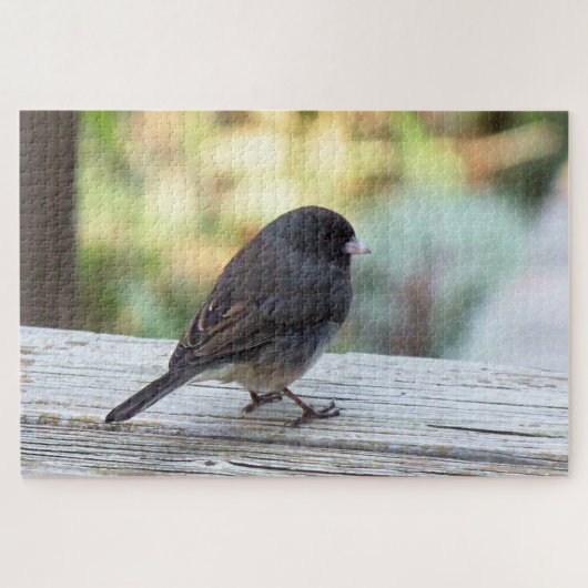 Puzzle Junco ardoisé (Horizontal)