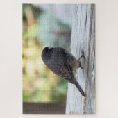 Puzzle Junco ardoisé (Vertical)