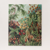 Puzzle Jungle Wilderness (Vertical)