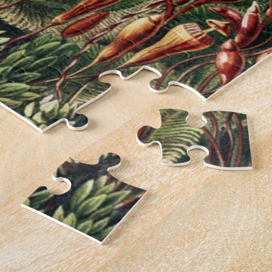 Puzzle Jungle Wilderness (Côté)