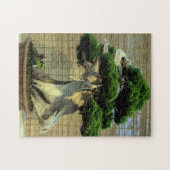 Puzzle Juniper chinois Bonsai Tree Photo (Horizontal)