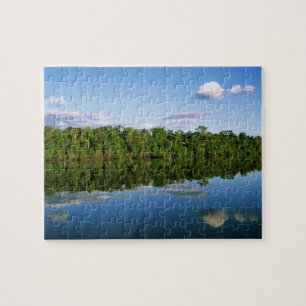 Puzzle Juruena, Brésil. Rive boisée de la rivière reflété