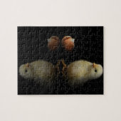 Puzzle Juste Chick à hachures (Horizontal)