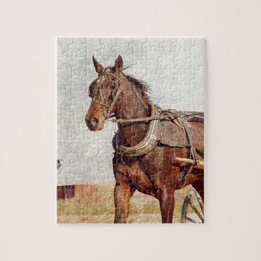 Puzzle Kalona, Iowa Amish Horse et Buggy (Vertical)