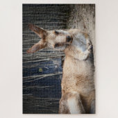 Puzzle Kangaroo (Vertical)