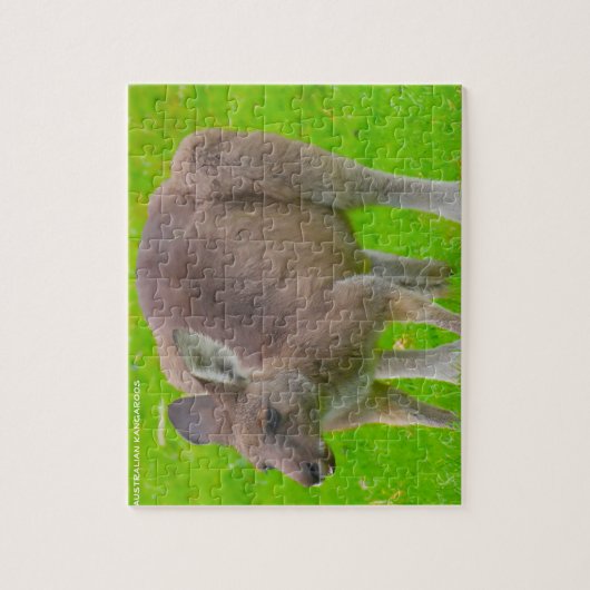 Puzzle Kangaroo australien (Vertical)