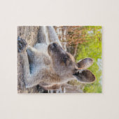 Puzzle Kangaroo Australienne Se Reposer (Horizontal)