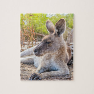 Puzzle Kangaroo Australienne Se Reposer