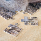 Puzzle Kangaroo Australienne Se Reposer (Côté)