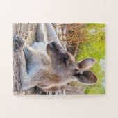 Puzzle Kangaroo Australienne Se Reposer (Horizontal)