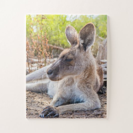 Puzzle Kangaroo Australienne Se Reposer (Vertical)