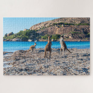 Puzzle Kangaroo face à la plage, 1014 pièces