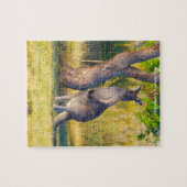 Puzzle Kangourou australien (Horizontal)