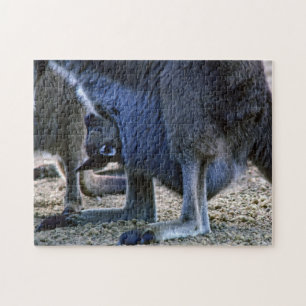 Puzzle Kangourou bébé dans la poche de la mère - Australi