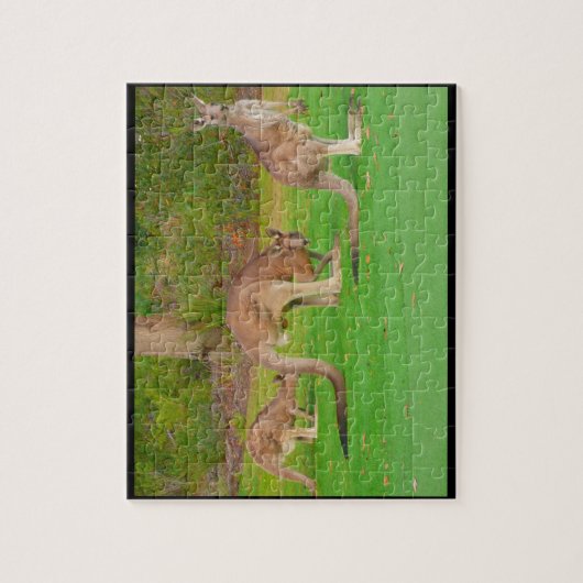 Puzzle kangourous (Vertical)