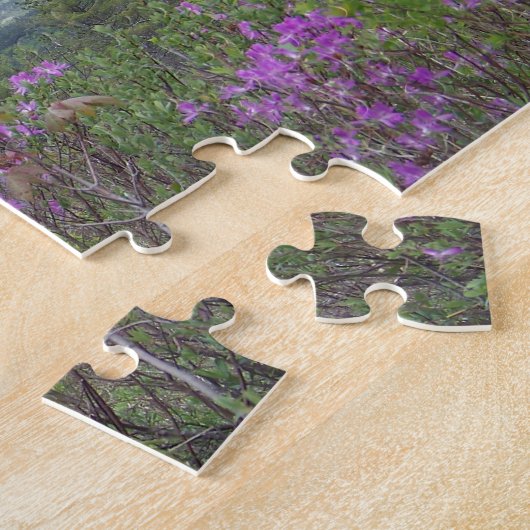 Puzzle Katahdin et fleurs pourpres (Côté)